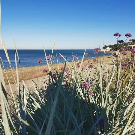 Villa St Palais, Maison Avec Piscine A 200m De La *