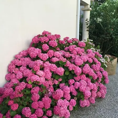 St Palais, Maison Avec Piscine A 200m De La Saint-Palais-sur-Mer