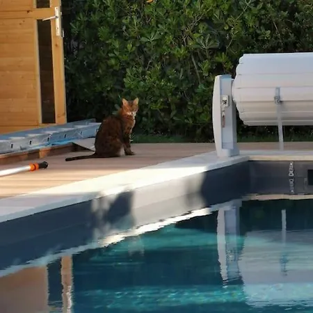 St Palais, Maison Avec Piscine A 200m De La
