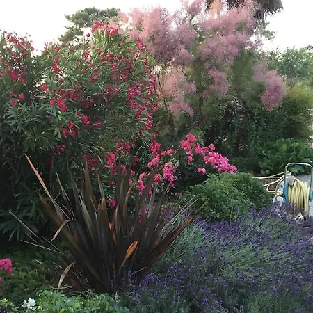 Villa St Palais, Maison Avec Piscine A 200m De La *