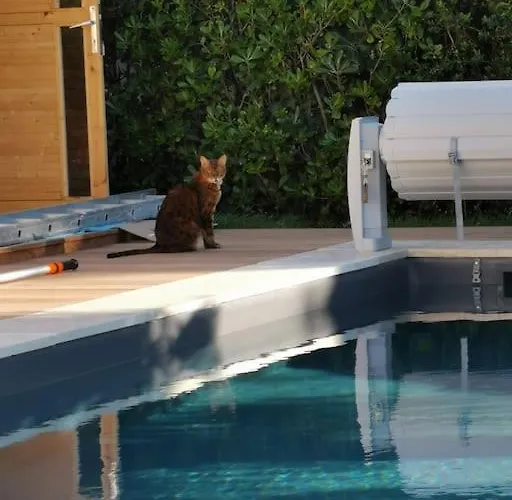 St Palais, Maison Avec Piscine A 200m De La