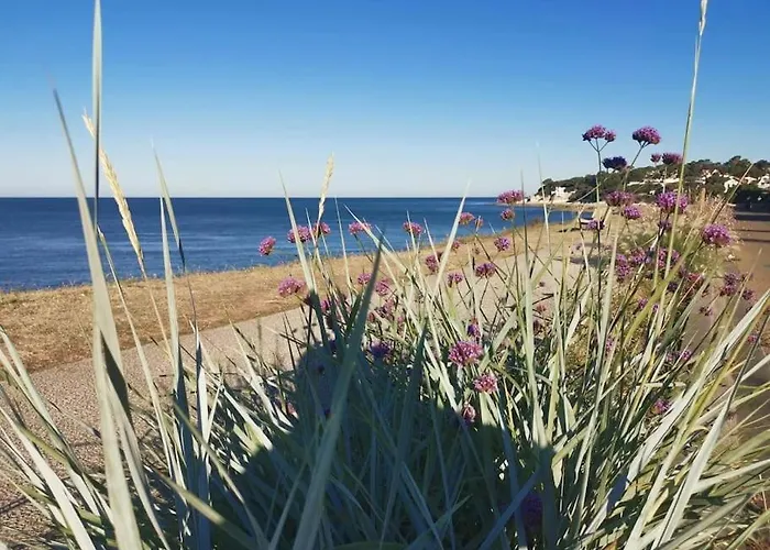 Villa St Palais, Maison Avec Piscine A 200m De La *