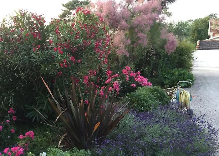 Villa St Palais, Maison Avec Piscine A 200m De La *